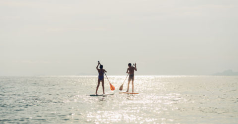 Activities_15_Paddle Boarding